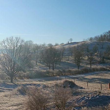 Pension Freudenthal Wandersleben Buitenkant foto