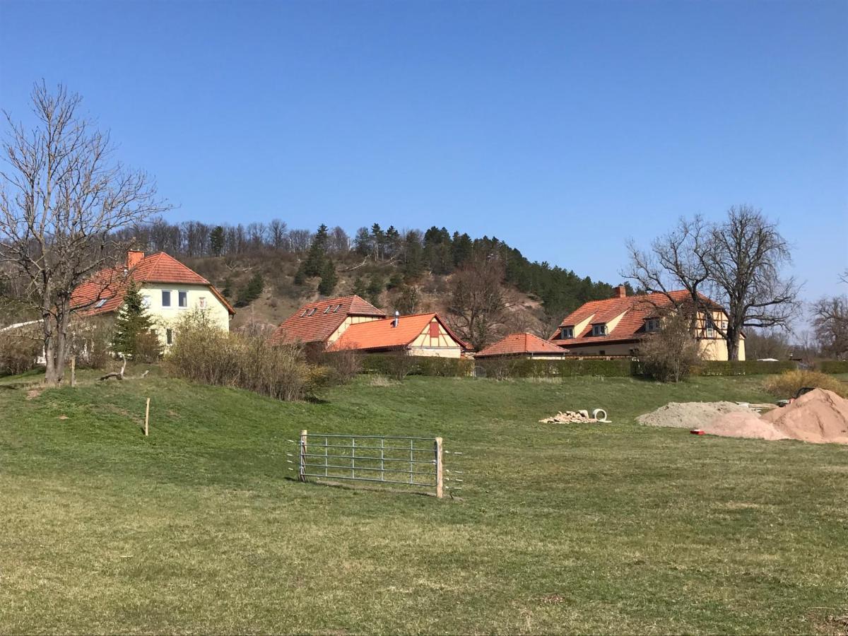 Pension Freudenthal Wandersleben Buitenkant foto