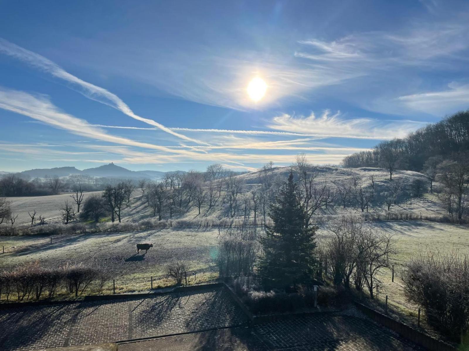 Pension Freudenthal Wandersleben Buitenkant foto